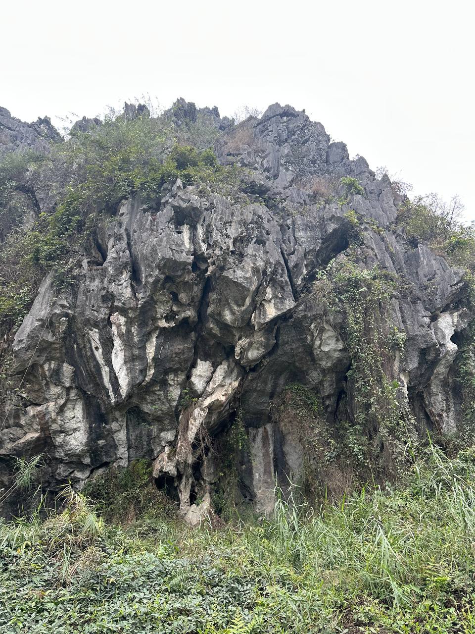 Van Long自然保護區山水